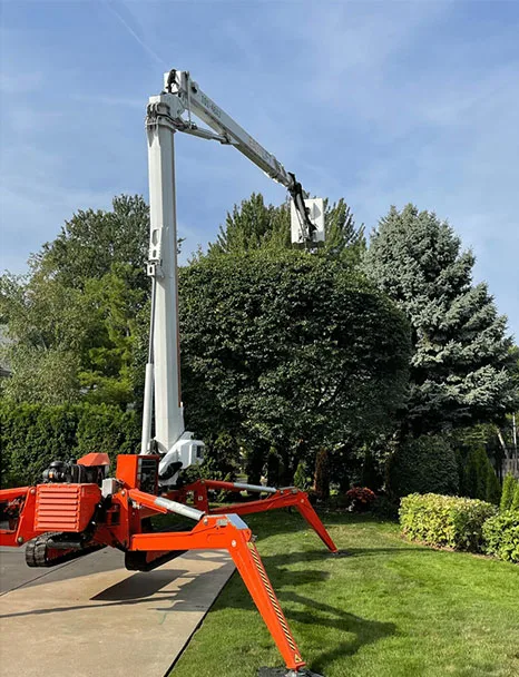 Metro Detroit Tree & Firewood gallery 7