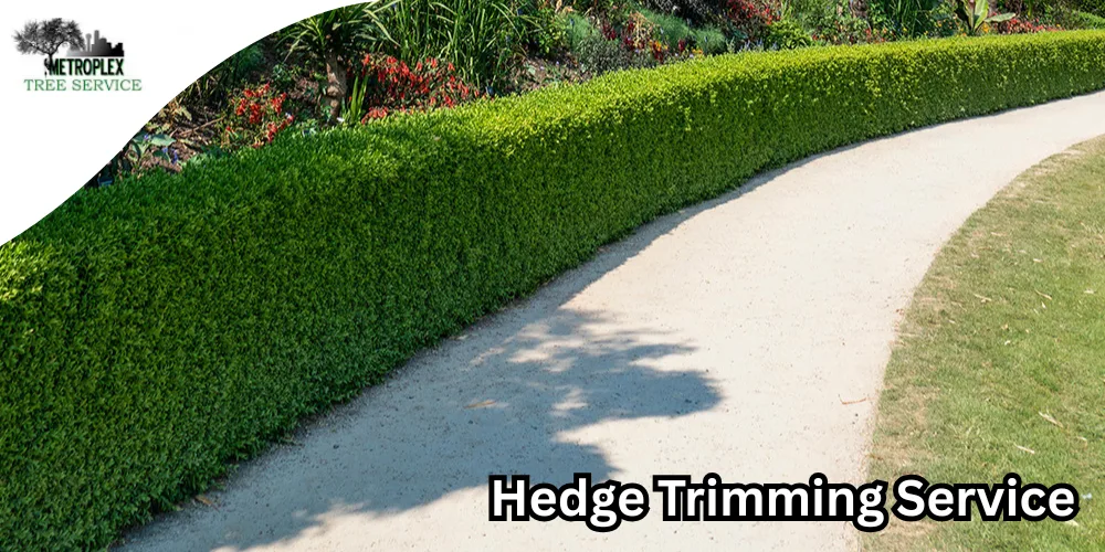 Metroplex Tree Service