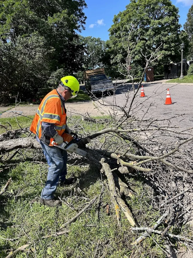 Midwest Tree Removal