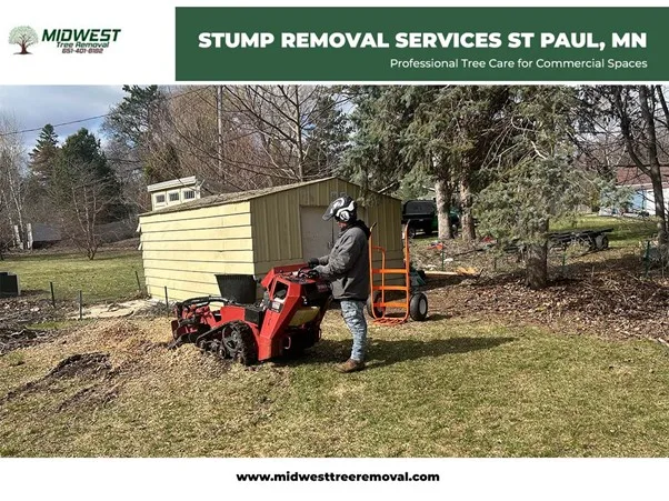 Midwest Tree Removal gallery 2