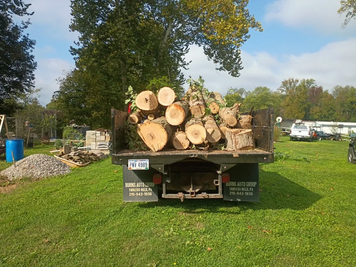 Miley's Tree Experts gallery 2