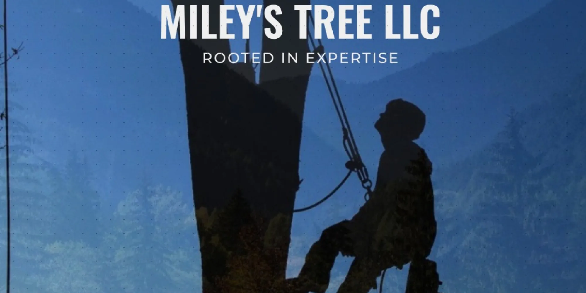 Miley's Tree Experts gallery 5