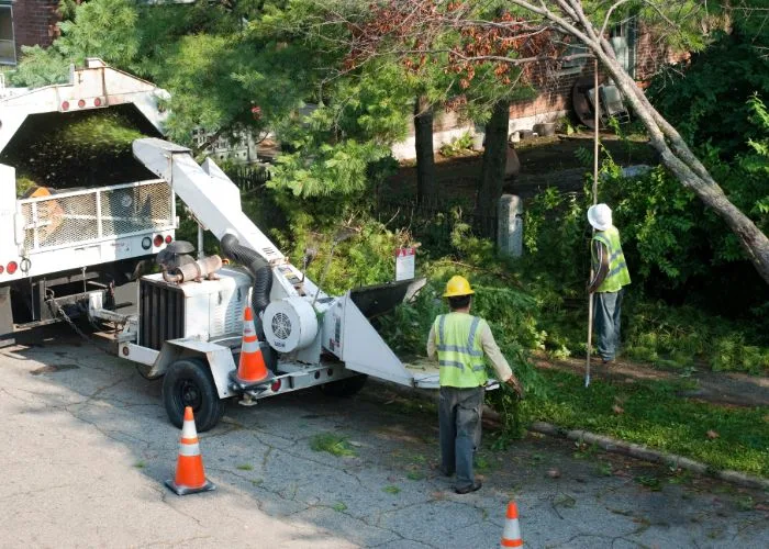 Mobile Tree Removal Services
