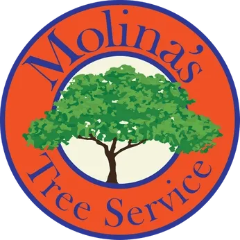 Molina's Tree Service & Landscaping LLC gallery 5