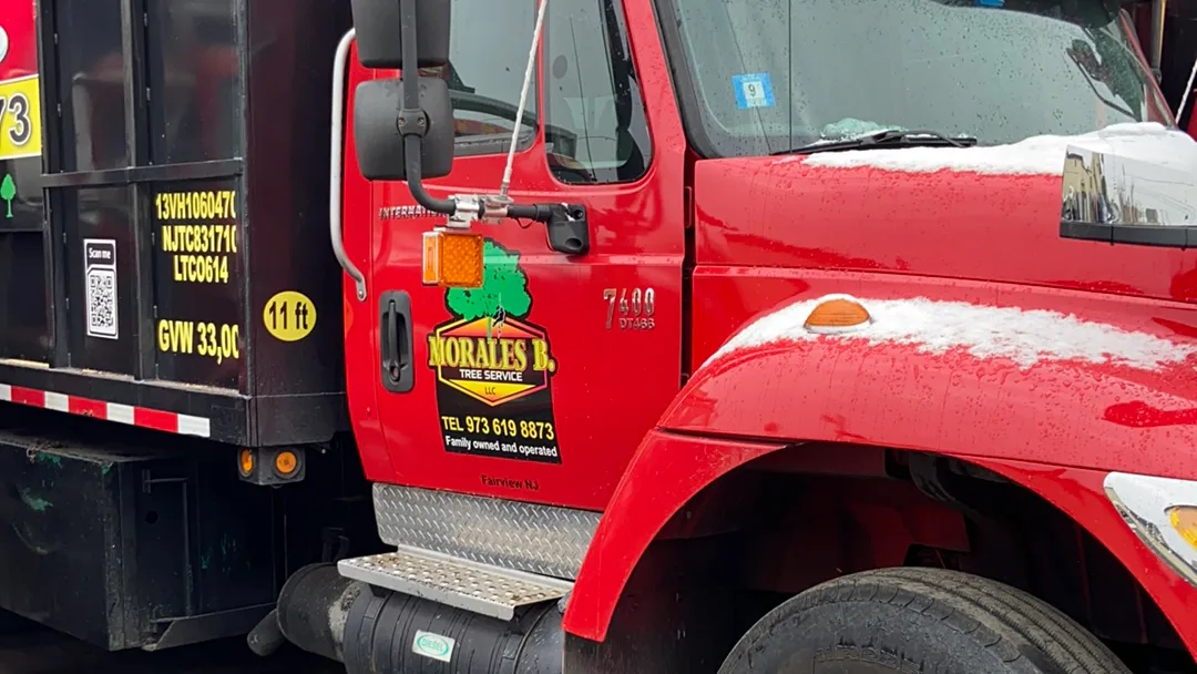 Morales Brothers Tree Service, LLC work site