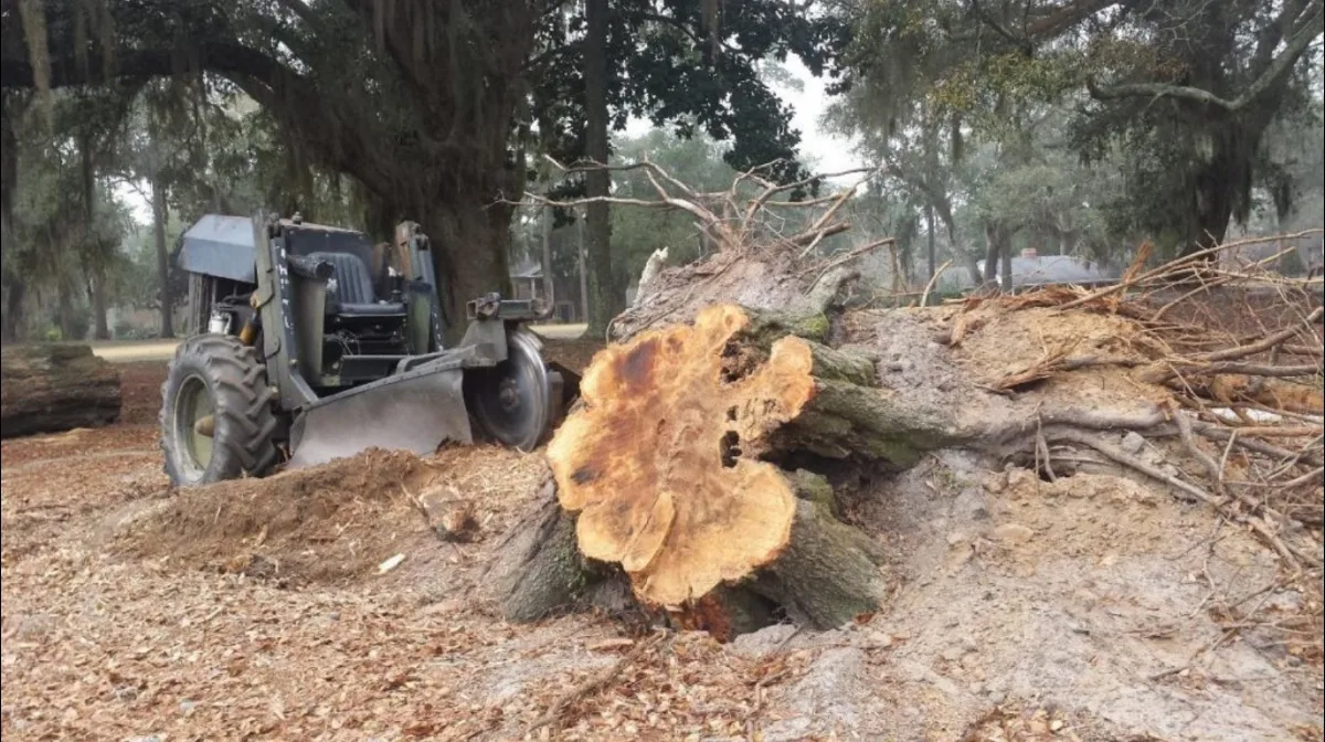 Mr. Stump | Stump Grinding & Treeservice