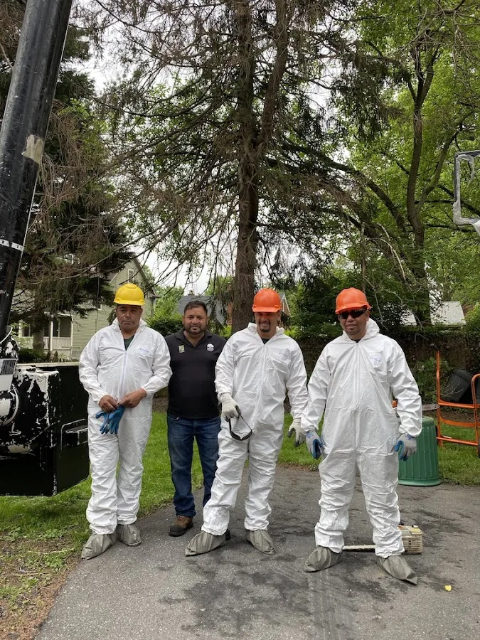 Mulheron Tree Experts