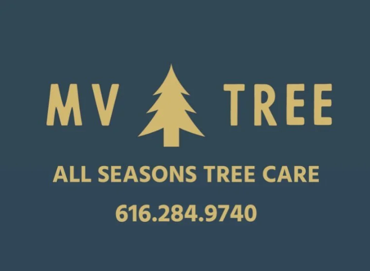 MV Tree LLC gallery 3