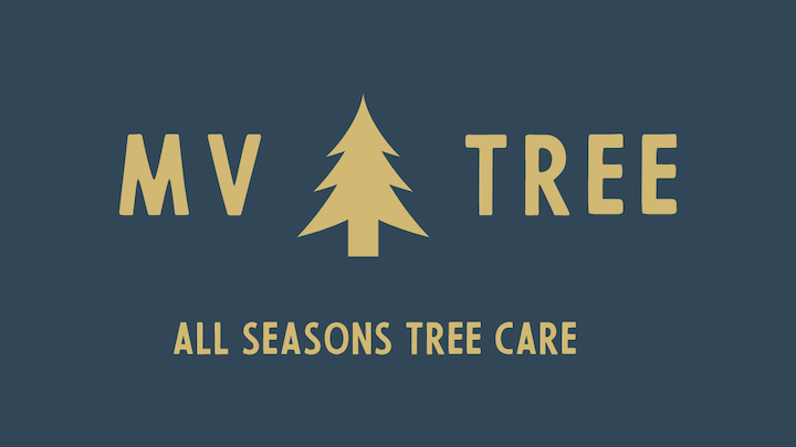 MV Tree LLC gallery 4