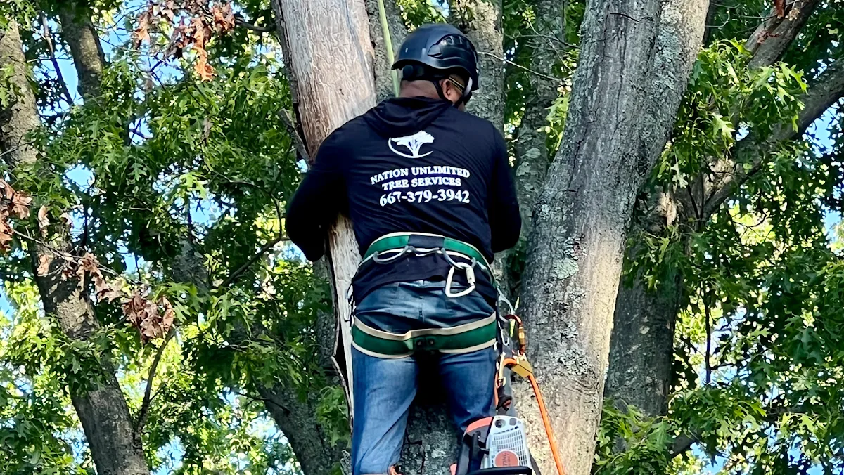 Nation Unlimited Tree Services