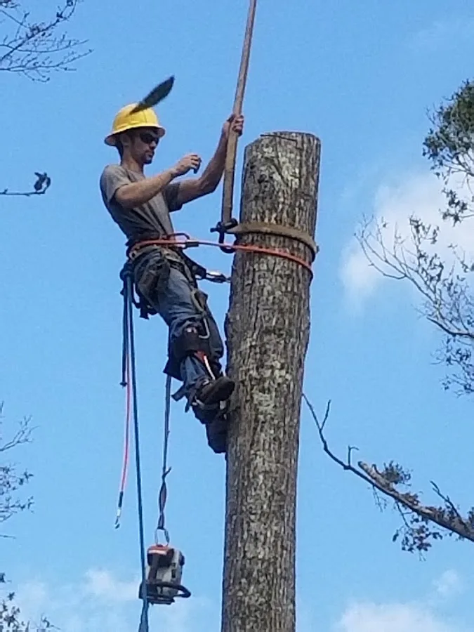 National Tree Service