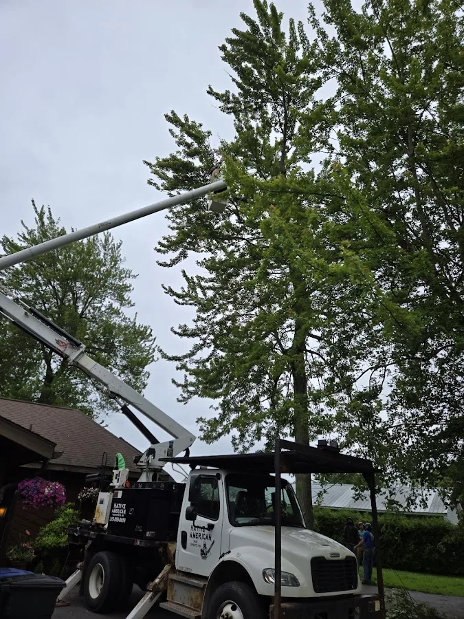 Native American Tree Experts, Inc gallery 2