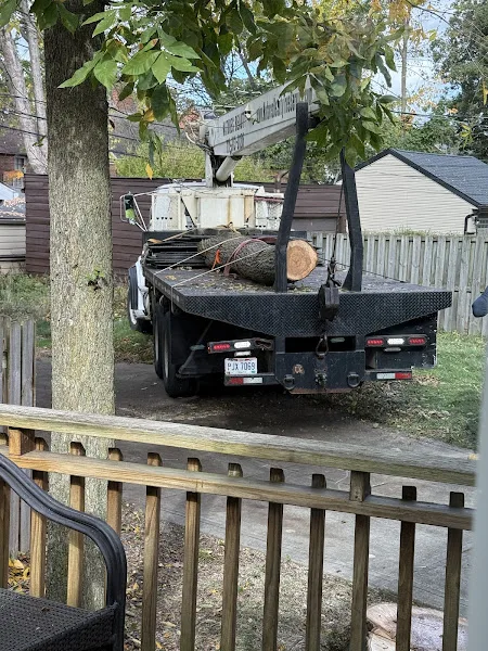 Nature´s Beauty Tree Service gallery 8