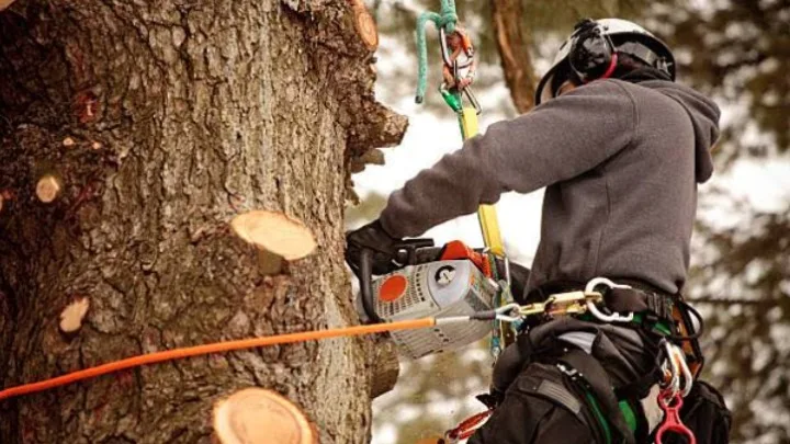 New Leaf Tree Service