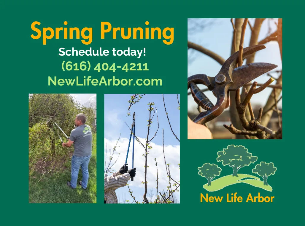 New Life Arbor gallery 4
