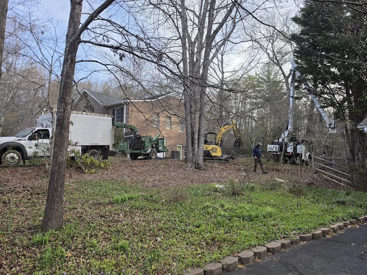 Newcomb Tree Service gallery 2