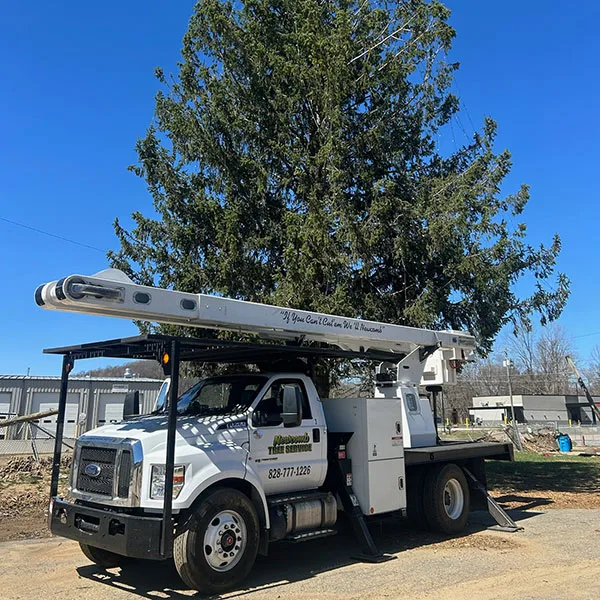 Newcomb Tree Service gallery 7