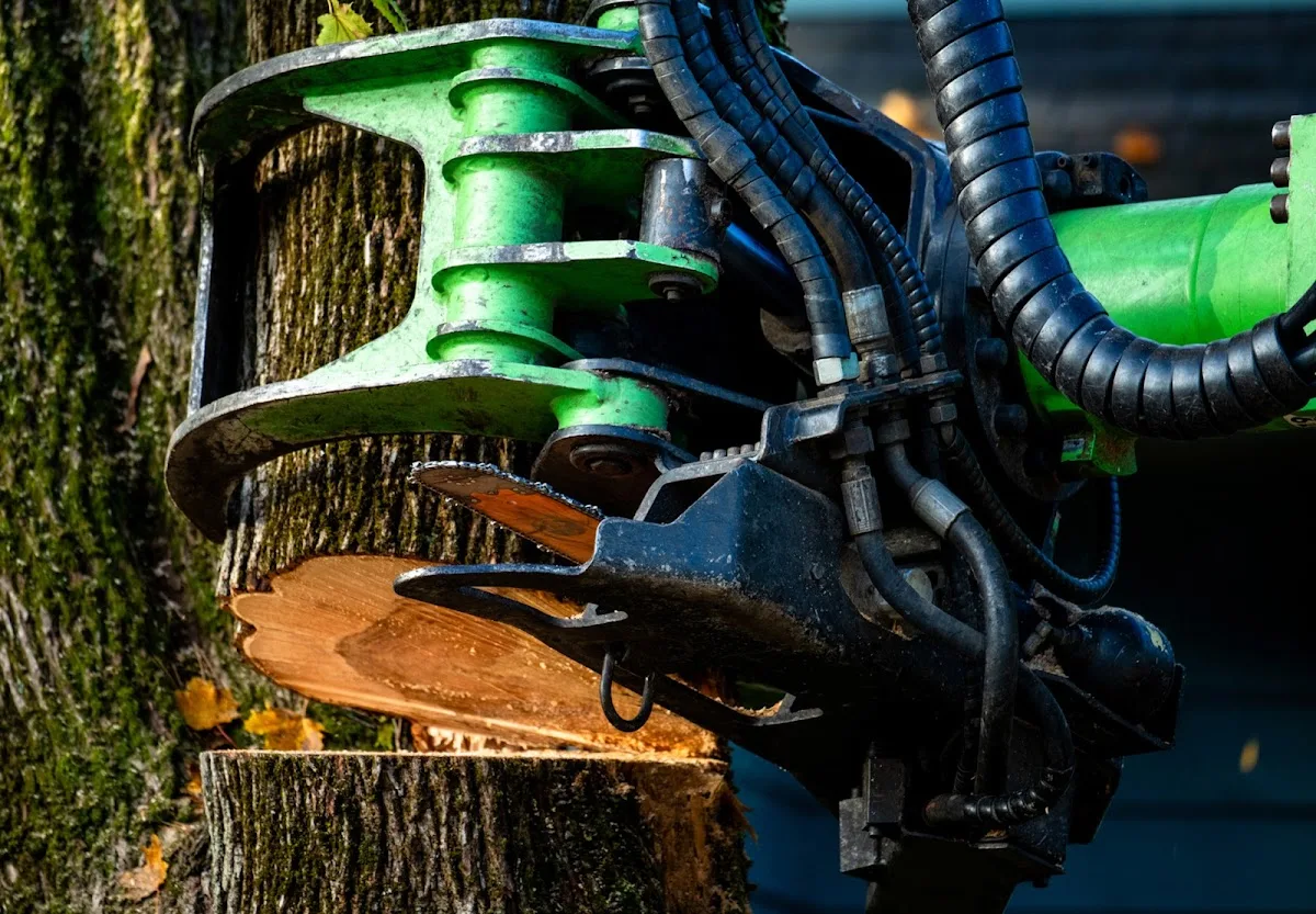 North Eastern Tree Service (Cranston, RI): How to Compare Tree Removal, Trimming, and Stump Work—Without Paying for the Wrong Outcome