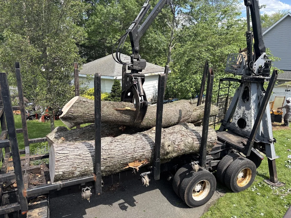 North Jersey Tree Service