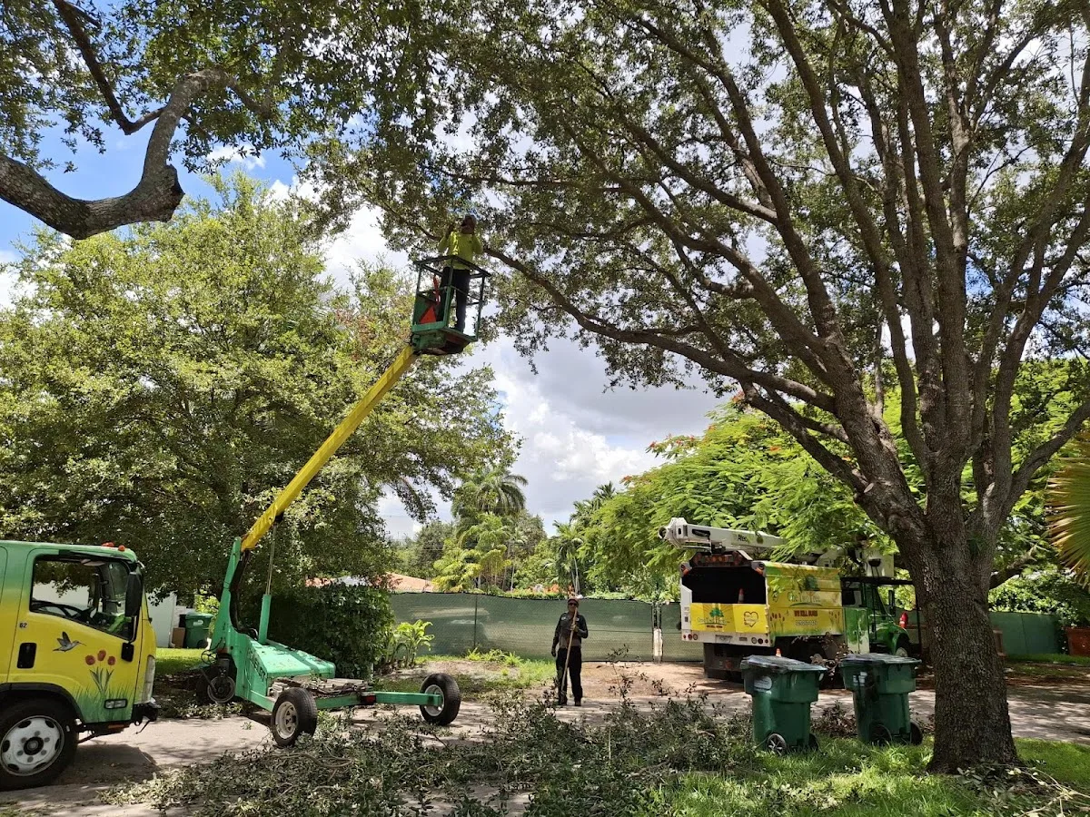 One Two Tree work site