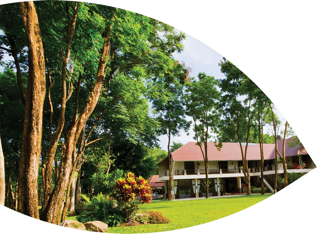 Organic Tree Services gallery 4