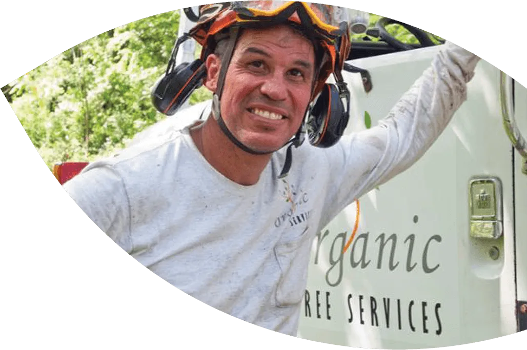 Organic Tree Services gallery 7