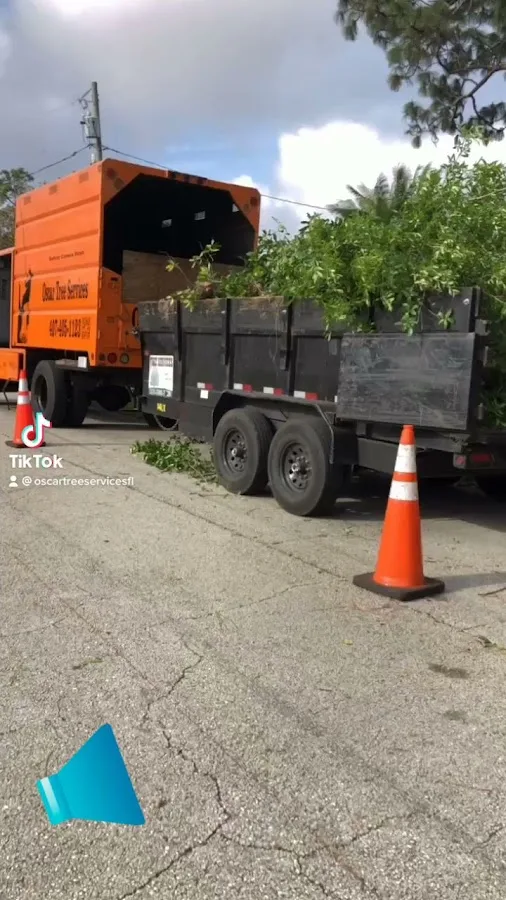 Oscar Tree Services LLC