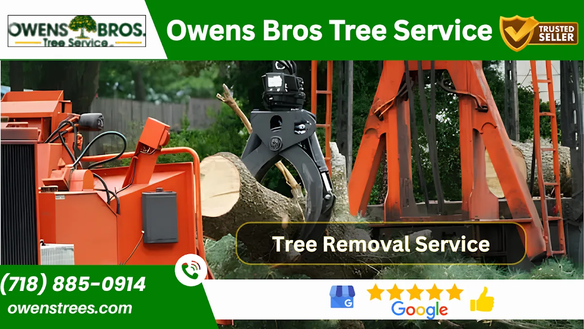Owens Bros. Tree Service gallery 3