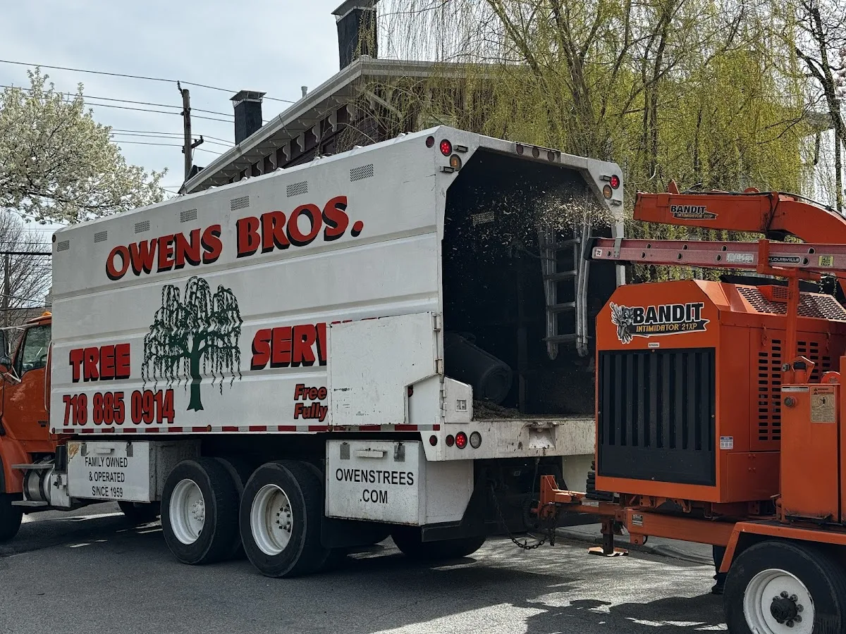 Owens Bros. Tree Service gallery 2