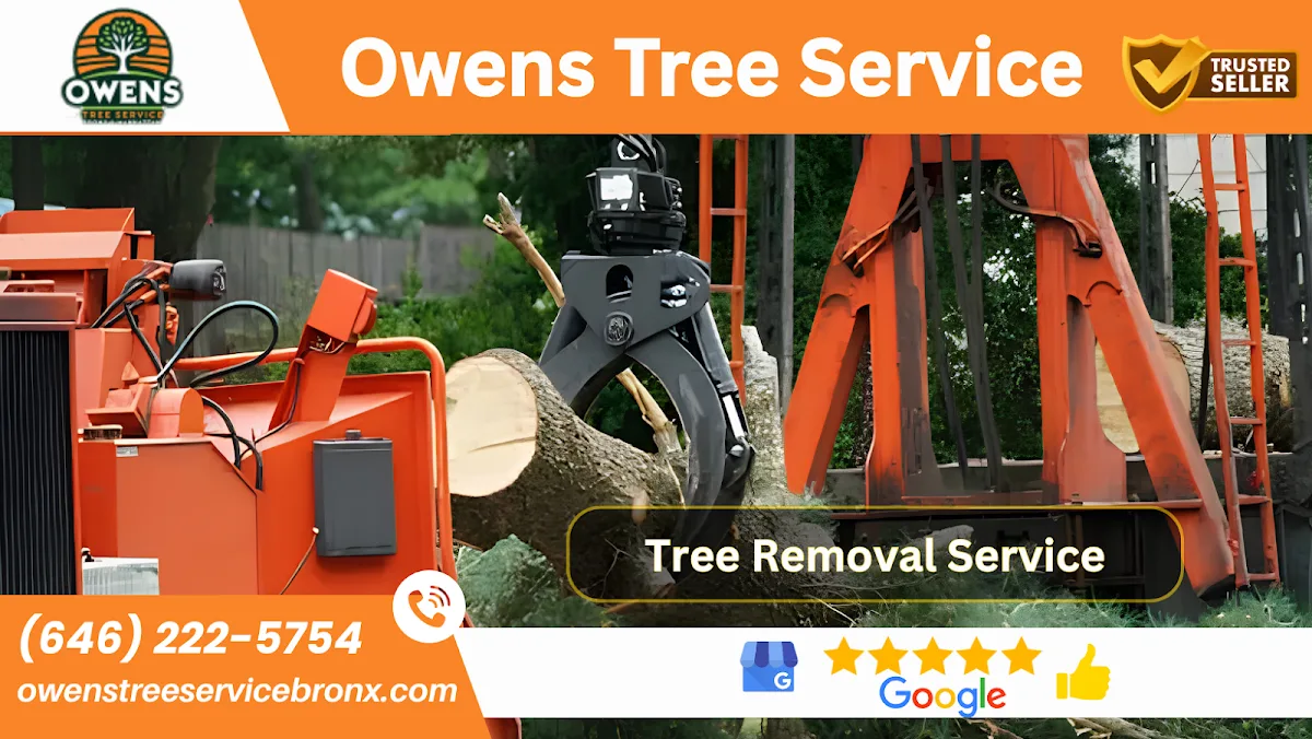Owens Tree Service - Arborist gallery 3