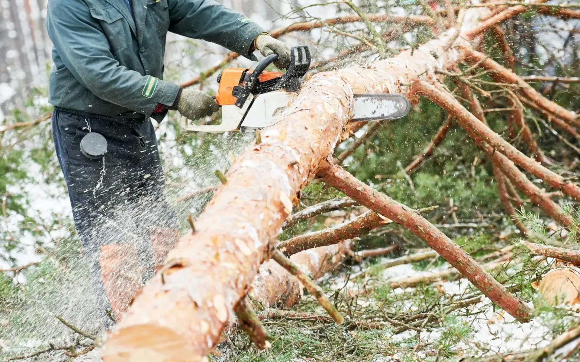 Owens Tree Service - Arborist gallery 8
