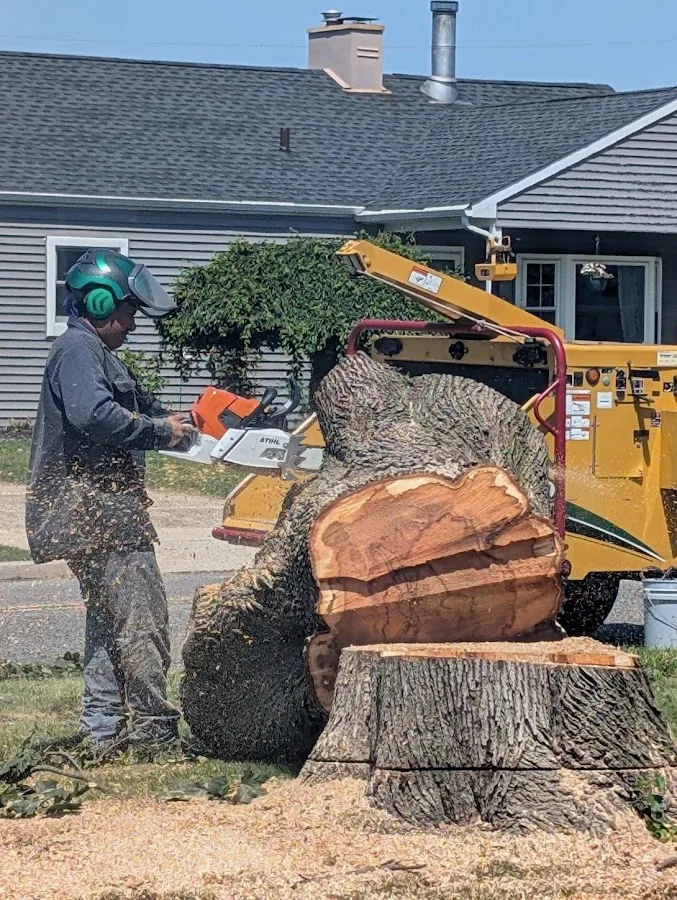 Palacios Tree Service