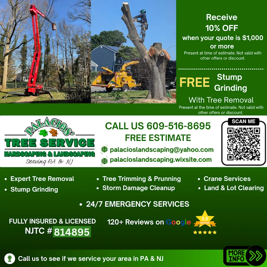 Palacios Tree Service gallery 2