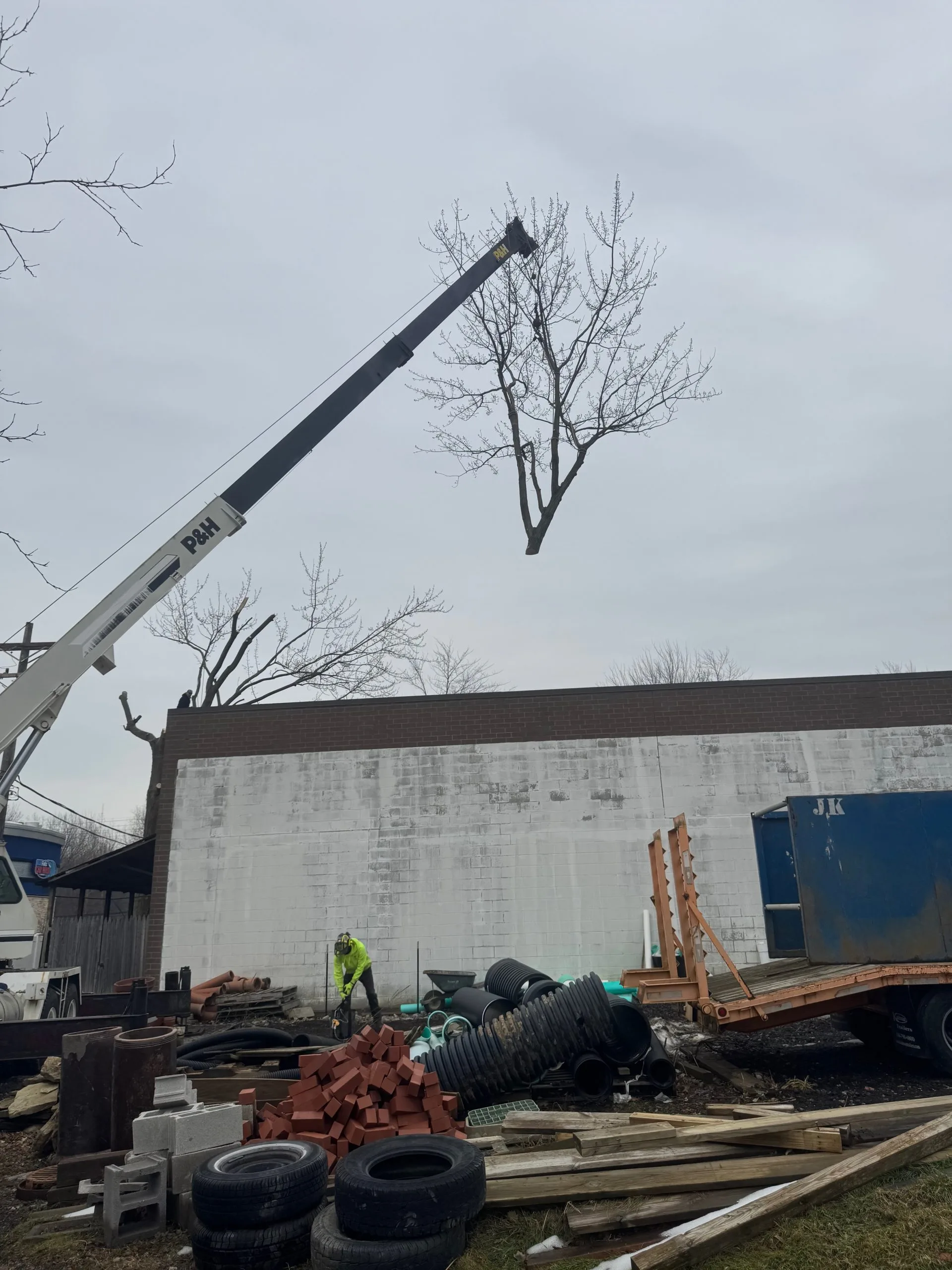 Parma Tree Service gallery 4