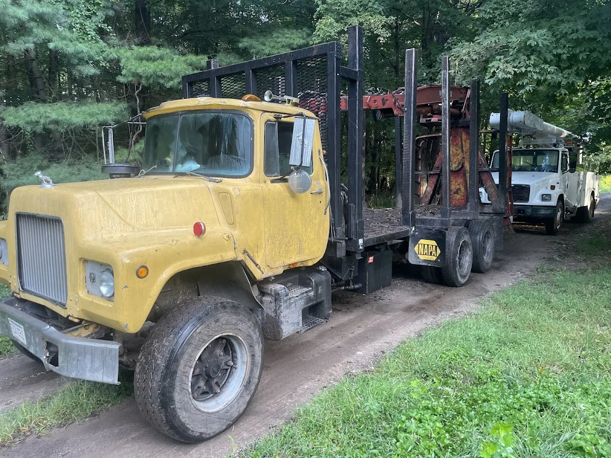 Paul Bunyan Wood Co