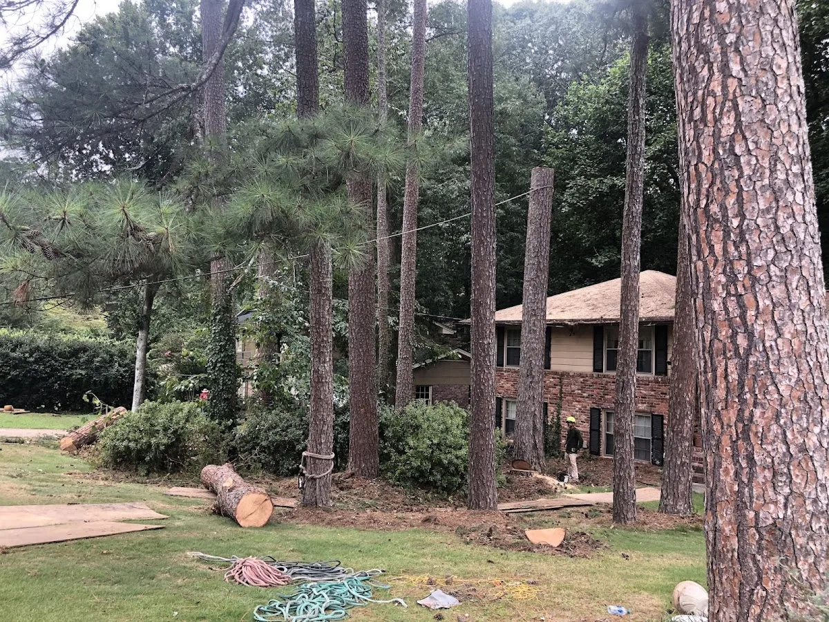 Peachtree Arborists