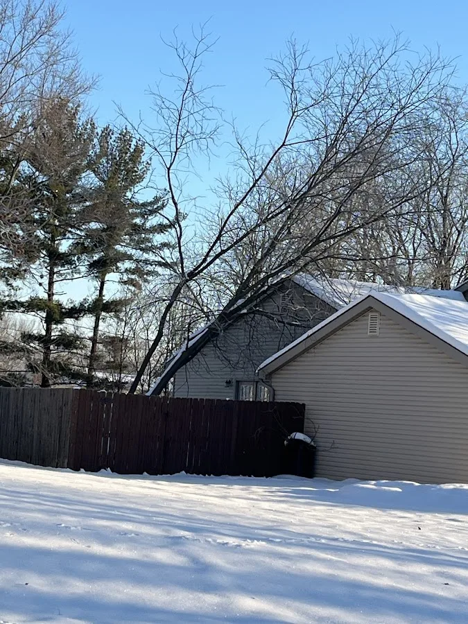 Perfect Cut Tree Services gallery 2
