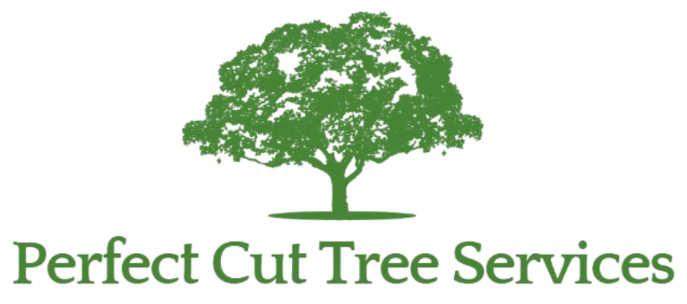 Perfect Cut Tree Services gallery 5