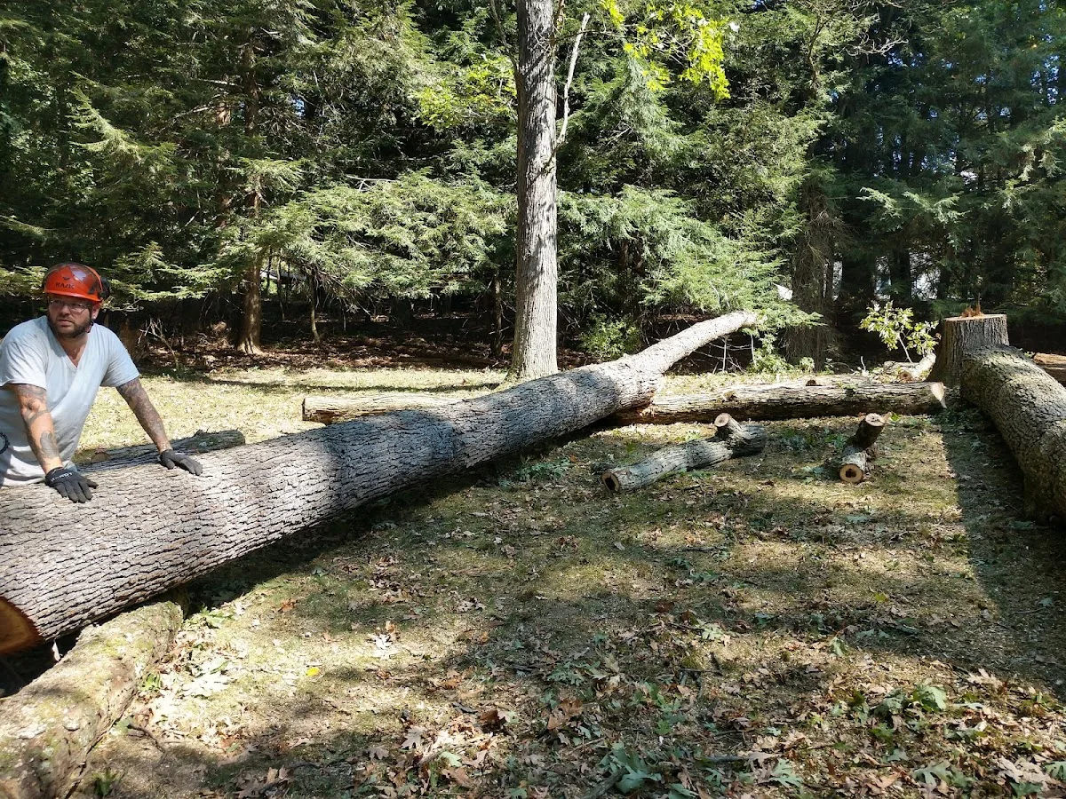 Perkins Tree Service