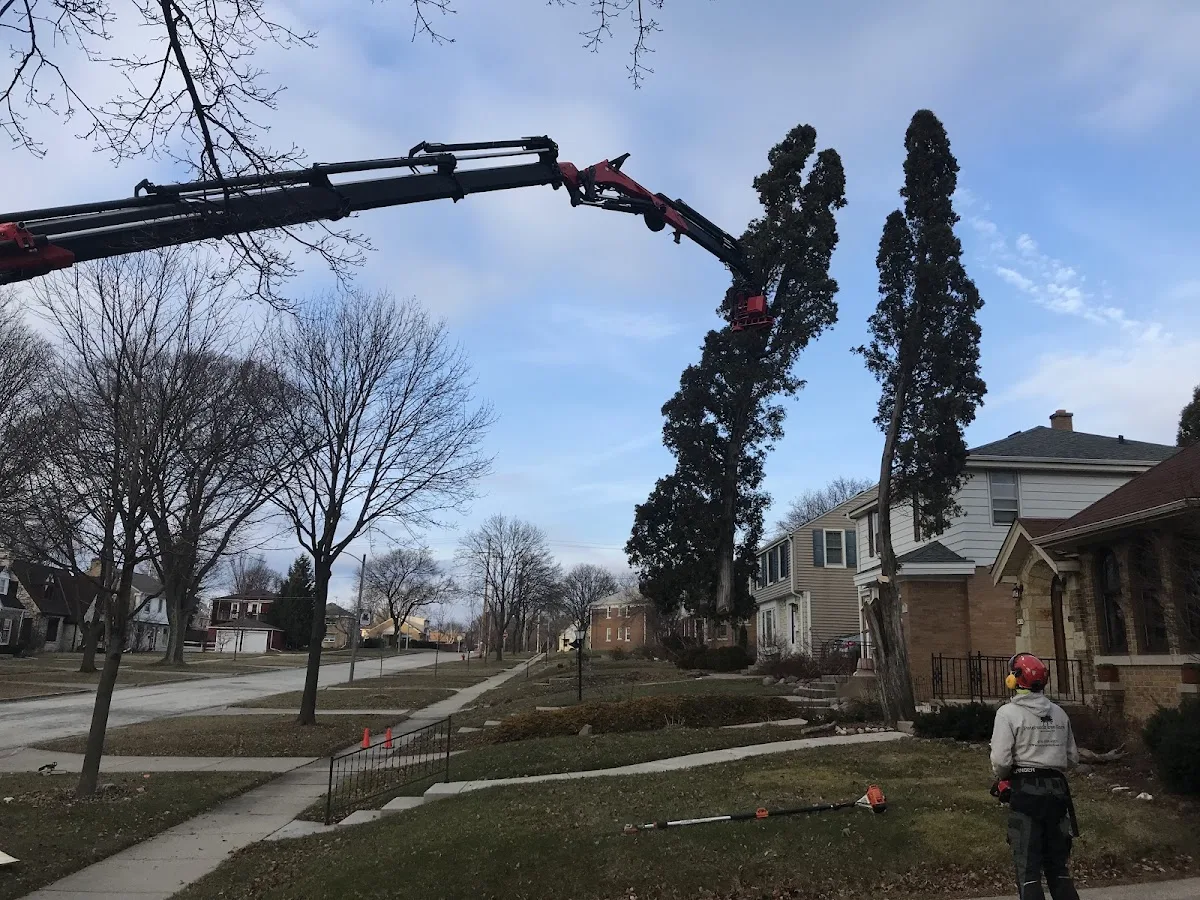 Peterson's Tree Care