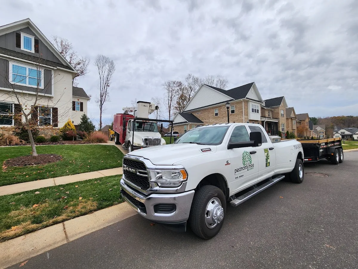Piedmont Tree Experts gallery 2