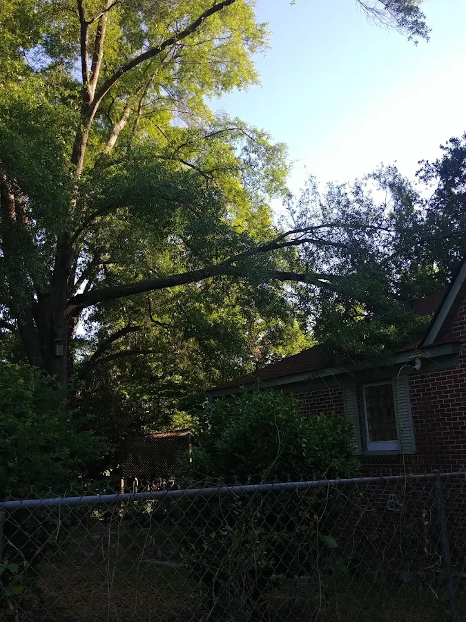 Pioneer Tree Service