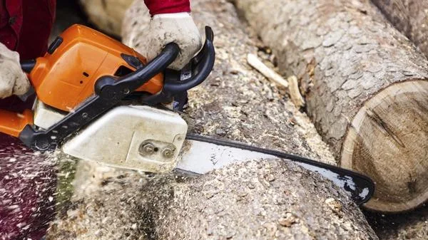 Pittsburgh Lumberjack Tree Service