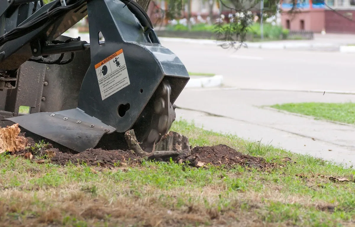 Poor Folks Tree Service, Inc. gallery 3