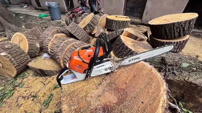 Power Tree Removal LLC gallery 6