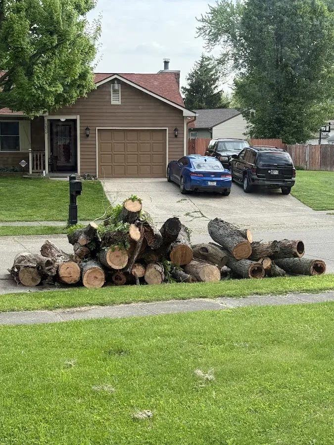 PR Tree Service gallery 2
