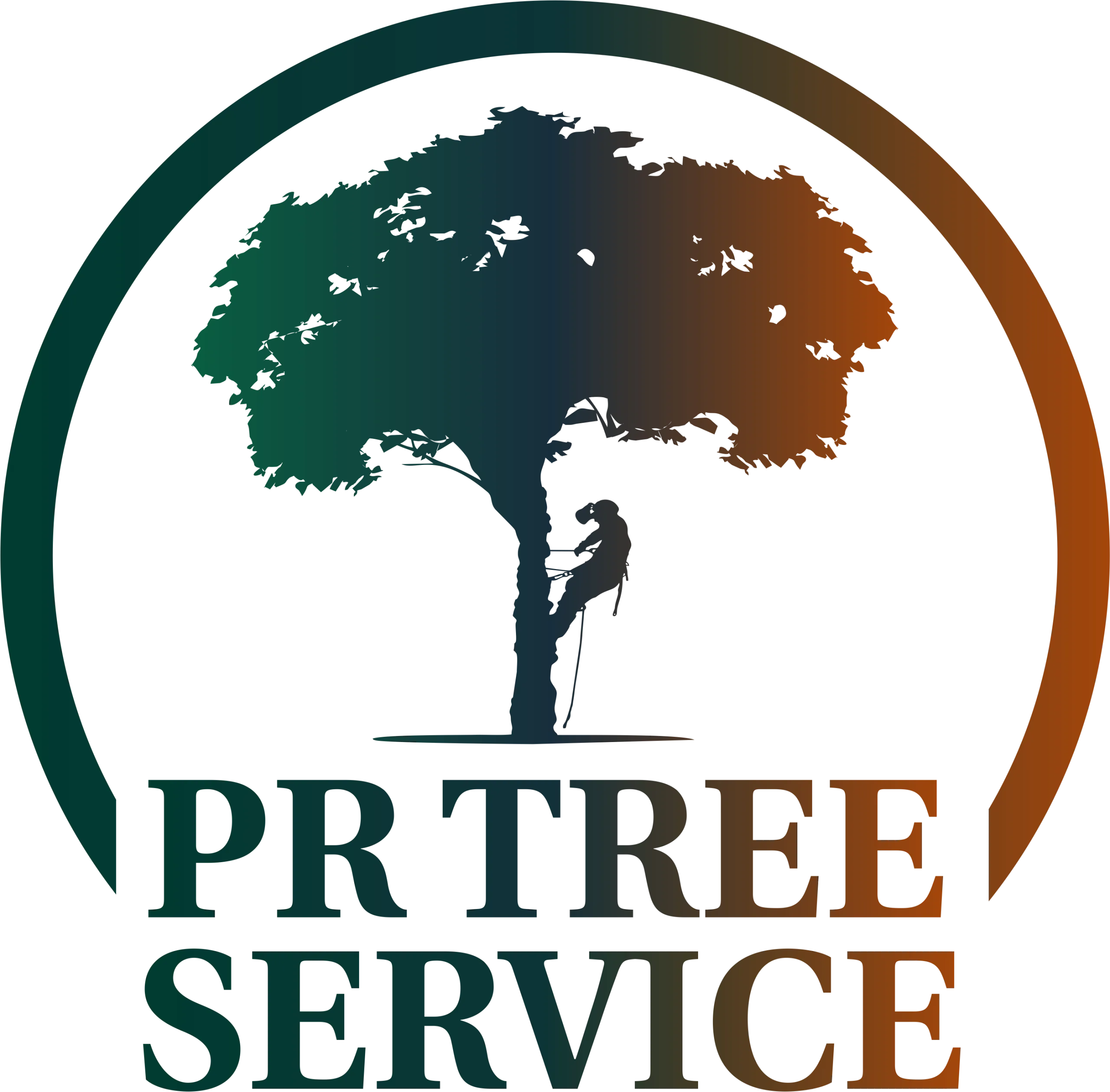 PR Tree Service gallery 3