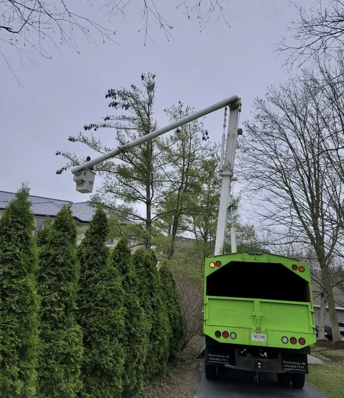 PR Tree Service gallery 4