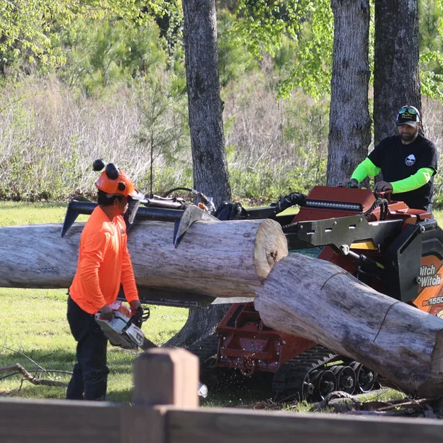 Precision Tree Services work site