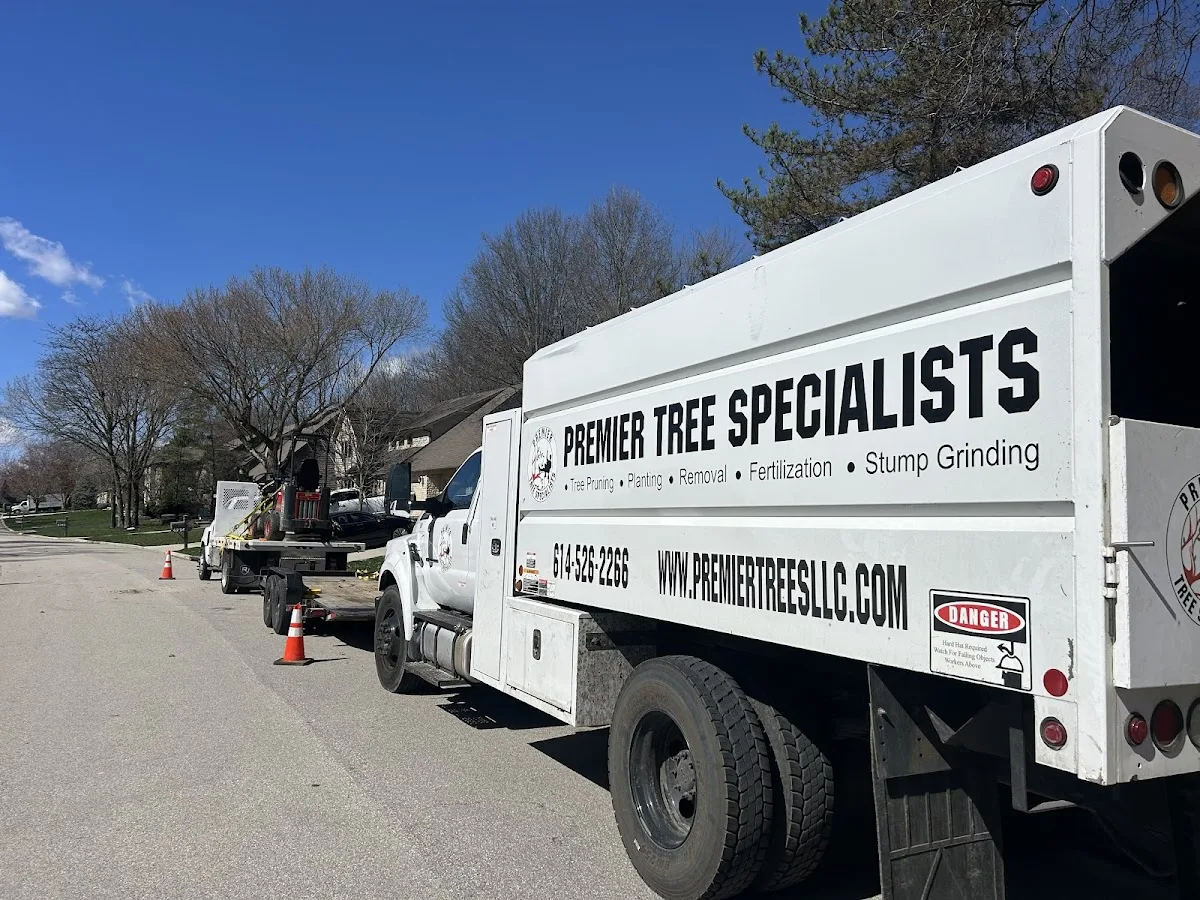Premier Tree Specialists gallery 2